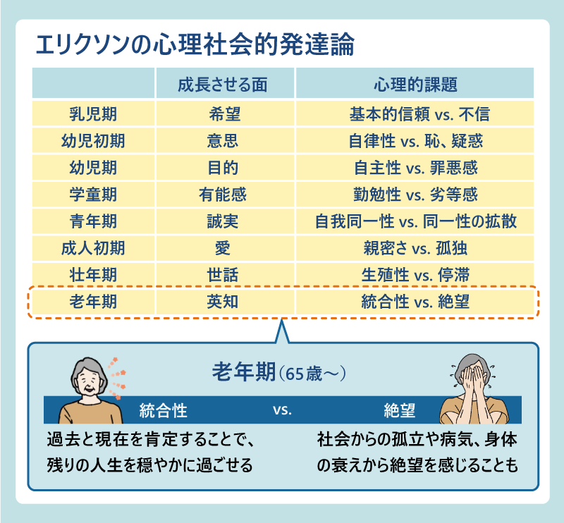 老年期（65歳～）|●統合性：過去と現在を肯定することで、残りの人生を穏やかに過ごせる vs ●絶望：社会からの孤立や病気、身体の衰えから絶望を感じることも