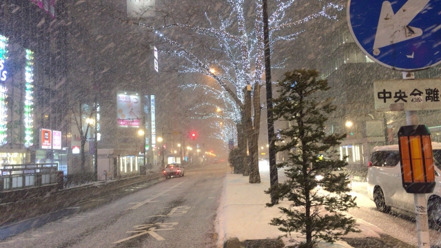 北海道 札幌すすきのの雪