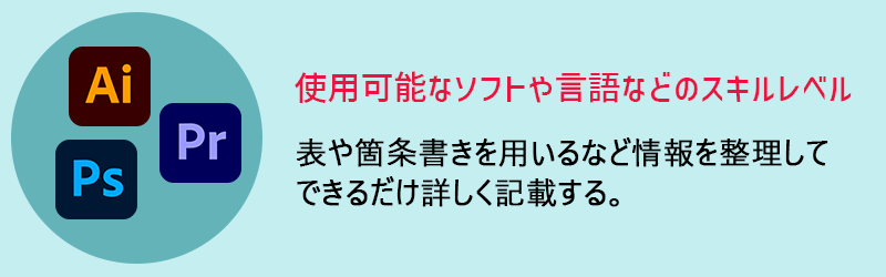 使用可能なソフトや言語などのスキルレベル　表や箇条書きを用いるなど情報を整理してできるだけ詳しく記載する。