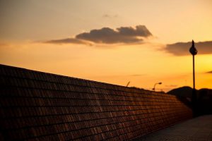 サムネ画像イメージ