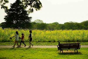 サムネ画像イメージ