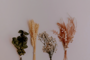 ドライフラワー